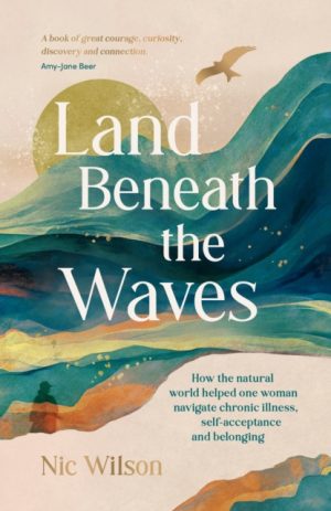 SIGNED COPY Land Beneath the Waves by Nic Wilson (Hitchin author)